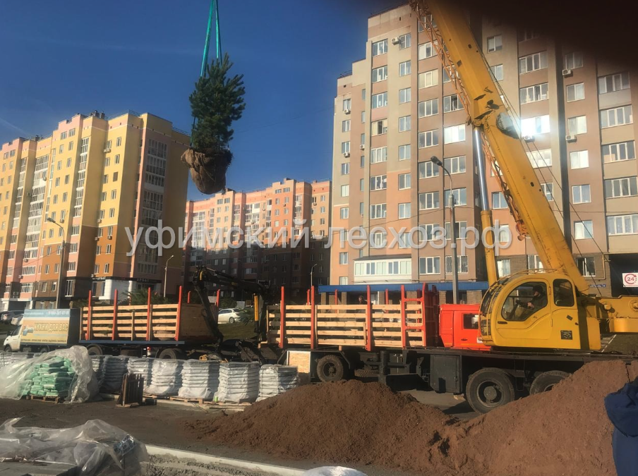 Ozelenenie-posadochnym-materialom-Ufa